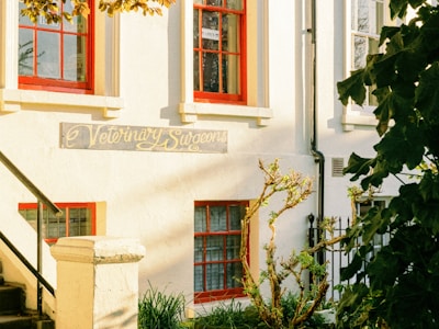 Команда ветеринарів