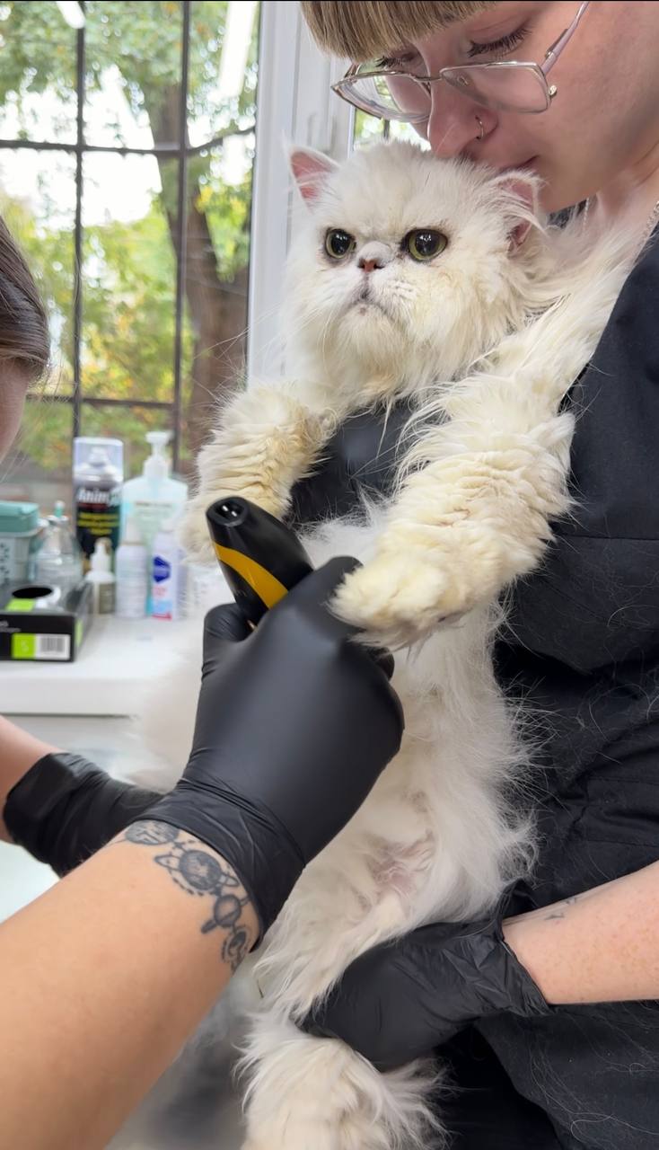 Patient 4